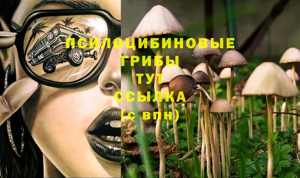 индика Алексин