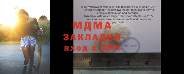 индика Алексин