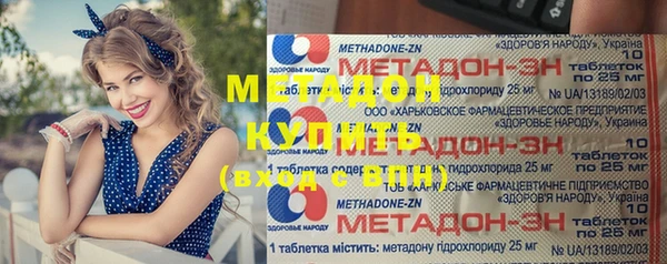 индика Алексин