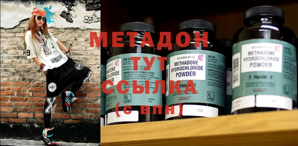 индика Алексин