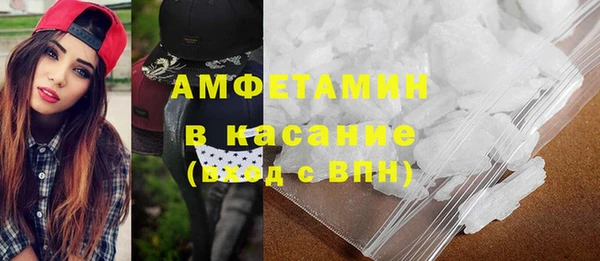 индика Алексин