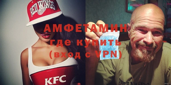 индика Алексин
